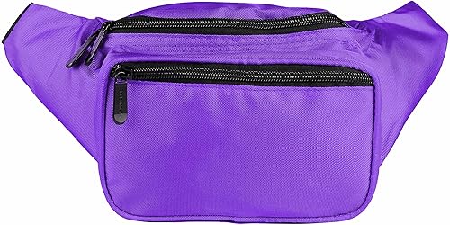 Amazon Sojourner Fanny Pack SoJourner Purple Fanny Pack