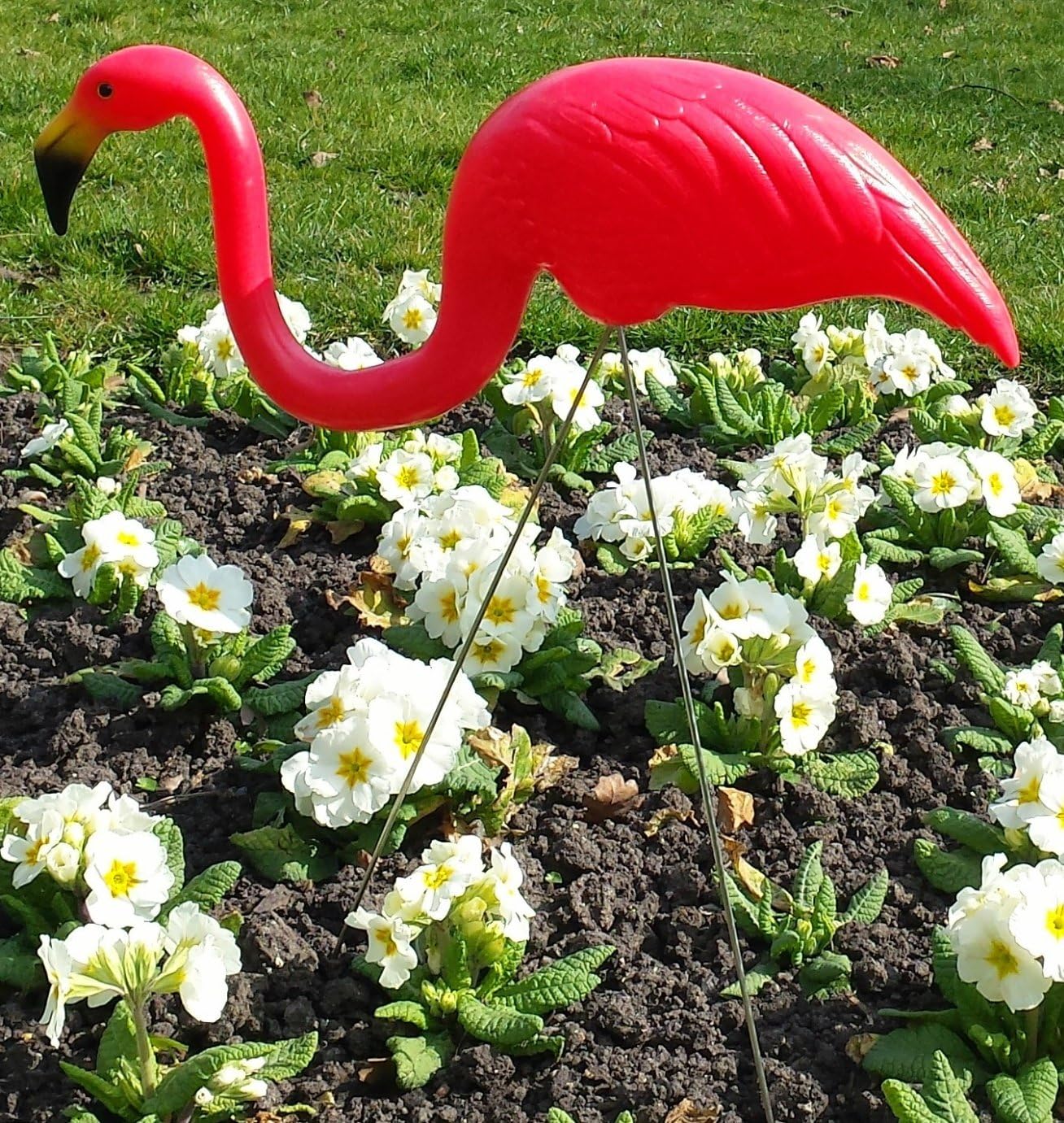 Pink lawn flamingo classic garden ornament Amazon.co.uk Garden & Outdoors