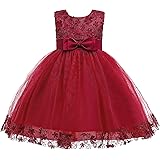 Weileenice 1-14 Years Big/Little Girl Flower Lace A-line Party Dresses