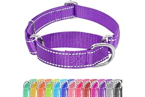 Seyezo Martingale Dog Collar, Slip Collar for Dogs, No Buckle, Reflective, Adjustable, Heavy Duty Nylon, No Pull, M, Purple