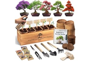 AVERGO DIY Bonsai Tree Kit for Beginners – 5X Unique Japanese Bonzai Trees | Complete Indoor Bonsai Starter Kit for Growing Bonsai Plants with Tools & Planters – DIY Gardening Gifts for Women & Men