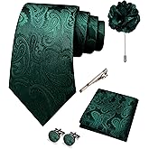 JEMYGINS Mens Paisley Tie and Pocket Square,Lapel Pin,Cufflinks,Tie Clip Sets with Gift Box 5PCS