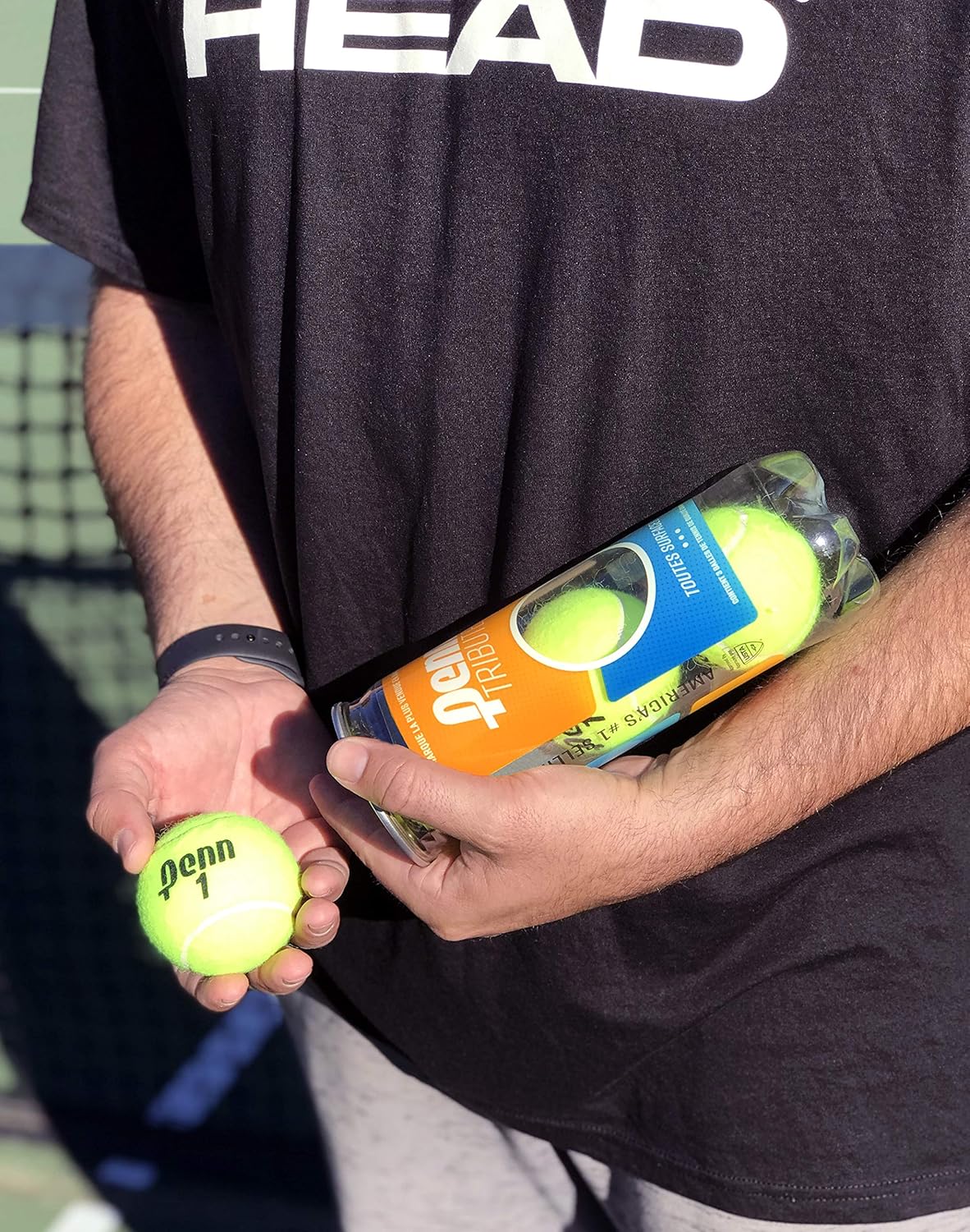 Penn Tribute Tennis Balls - All Courts Felt Pressurized Tennis Ball, 1 Can, 3 Balls : Sports & Outdoors