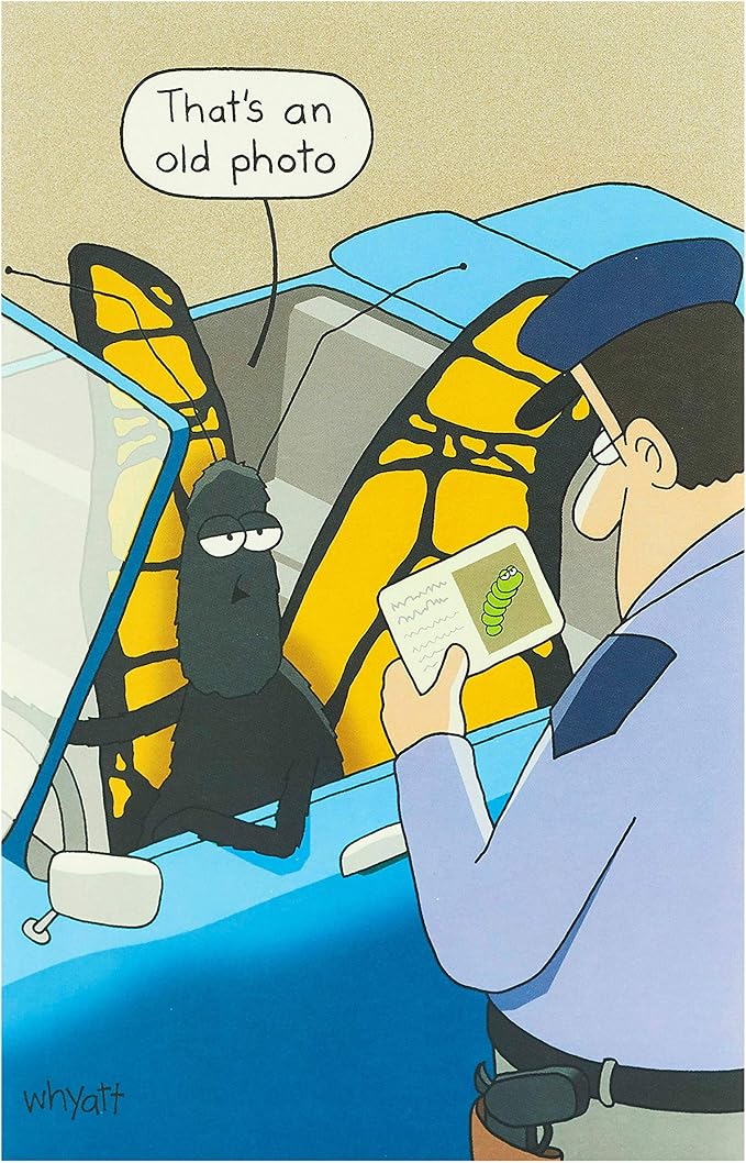 Carte D Anniversaire Humoristique Pour Lui Dessin Anime Humoristique Amazon Fr Fournitures De Bureau