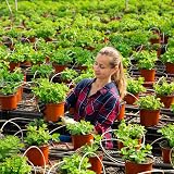 Augshy 110 Pcs 6 Inch Plant Nursery Pots Seed Starting Propagation view 7
