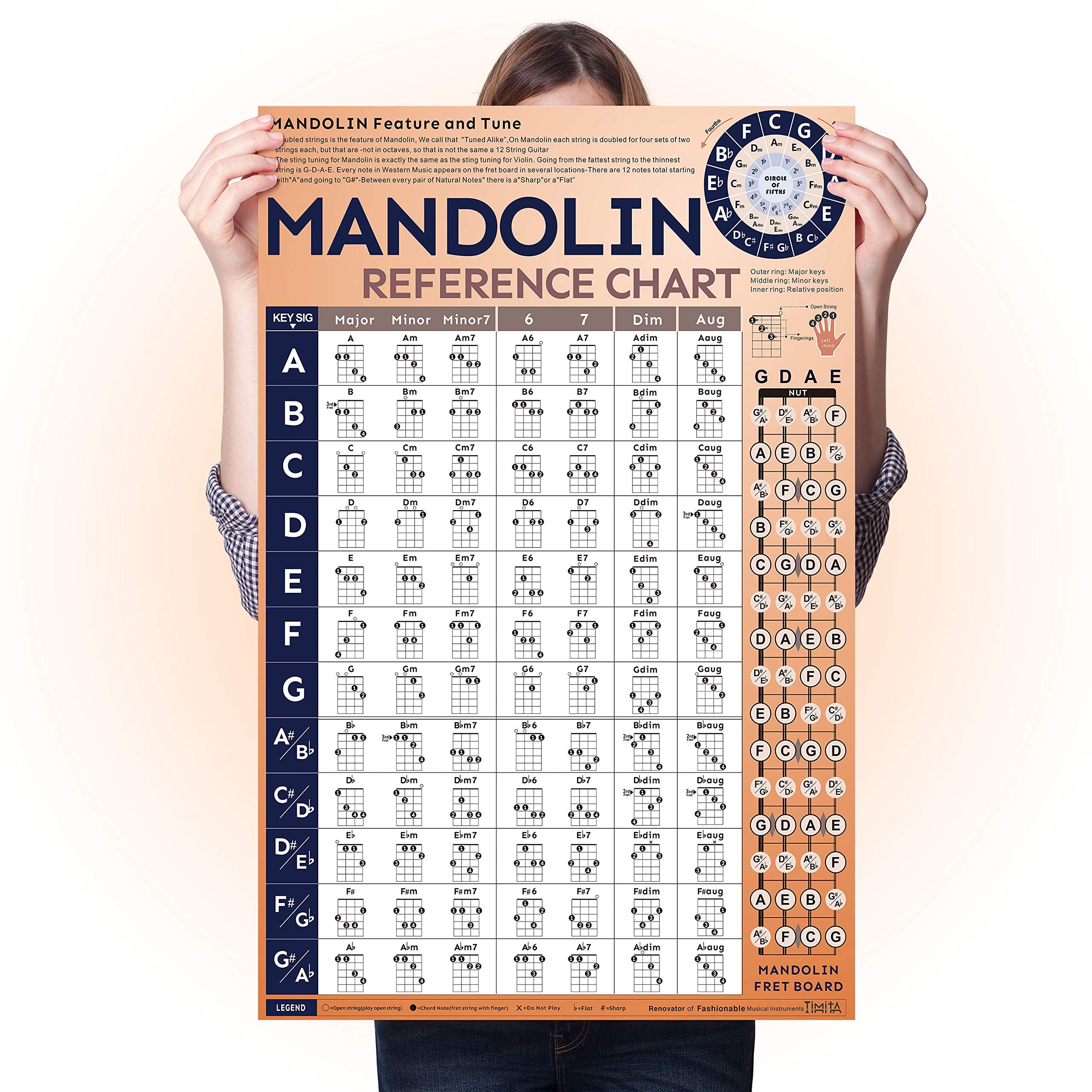 Buy Mandolin Chords Chart of Popular Chords, Mandolin Instrument