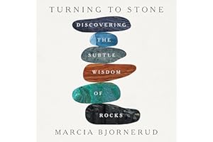 Turning to Stone: Discovering the Subtle Wisdom of Rocks