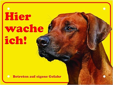 Luguno Schild Hund Rhodesian Ridgeback Warnung Vorsicht Hundeschilder Alu 20x15cm Mit 4 Eckbohrungen Amazon De Kuche Haushalt Luguno Schild Hund Rhodesian Ridgeback Warnung Vorsicht Hundeschilder Alu 20x15cm Mit 4 Eckbohrungen Amazon De Kuche Haushalt