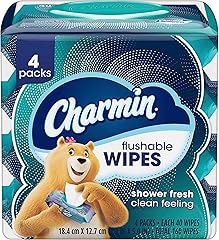 Charmin Flushable Wipes, 160 Total Wipes (4 Packs of 40)