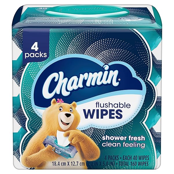 CHARMIN FLUSHABLE WIPES, 160 TOTAL WIPES (4 PACKS OF 40)