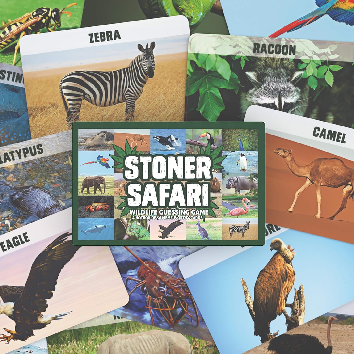 Bubblegum Stuff - Stoner Safari Game | Guess The Animals From Their Stoner Name Comedy Card Game - Fun Board Game | Suitable For Adults - Image 5