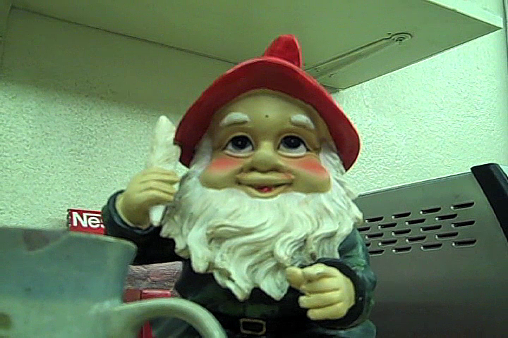 How To Survive A Garden Gnome Attack