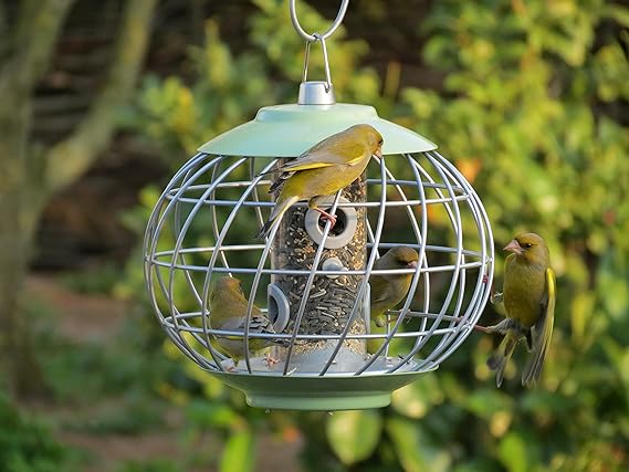 The Nuttery Helix Seed Feeder Amazon Co Uk Garden Outdoors