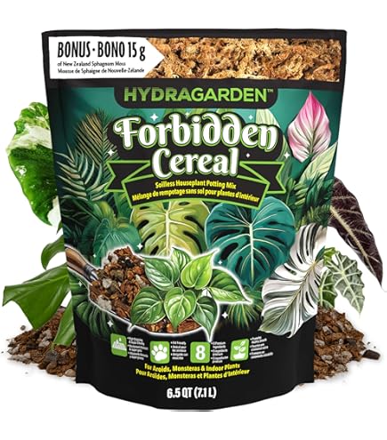 Amazon.com : Organic Hoya Potting Mix - Prime Hoya Mix - Hoya Plant Premium  Well Draining Soilless Potting Mix - Made Specially for Hoya Cuttings,  Seedlings, or Mother Plants - CA Hoya