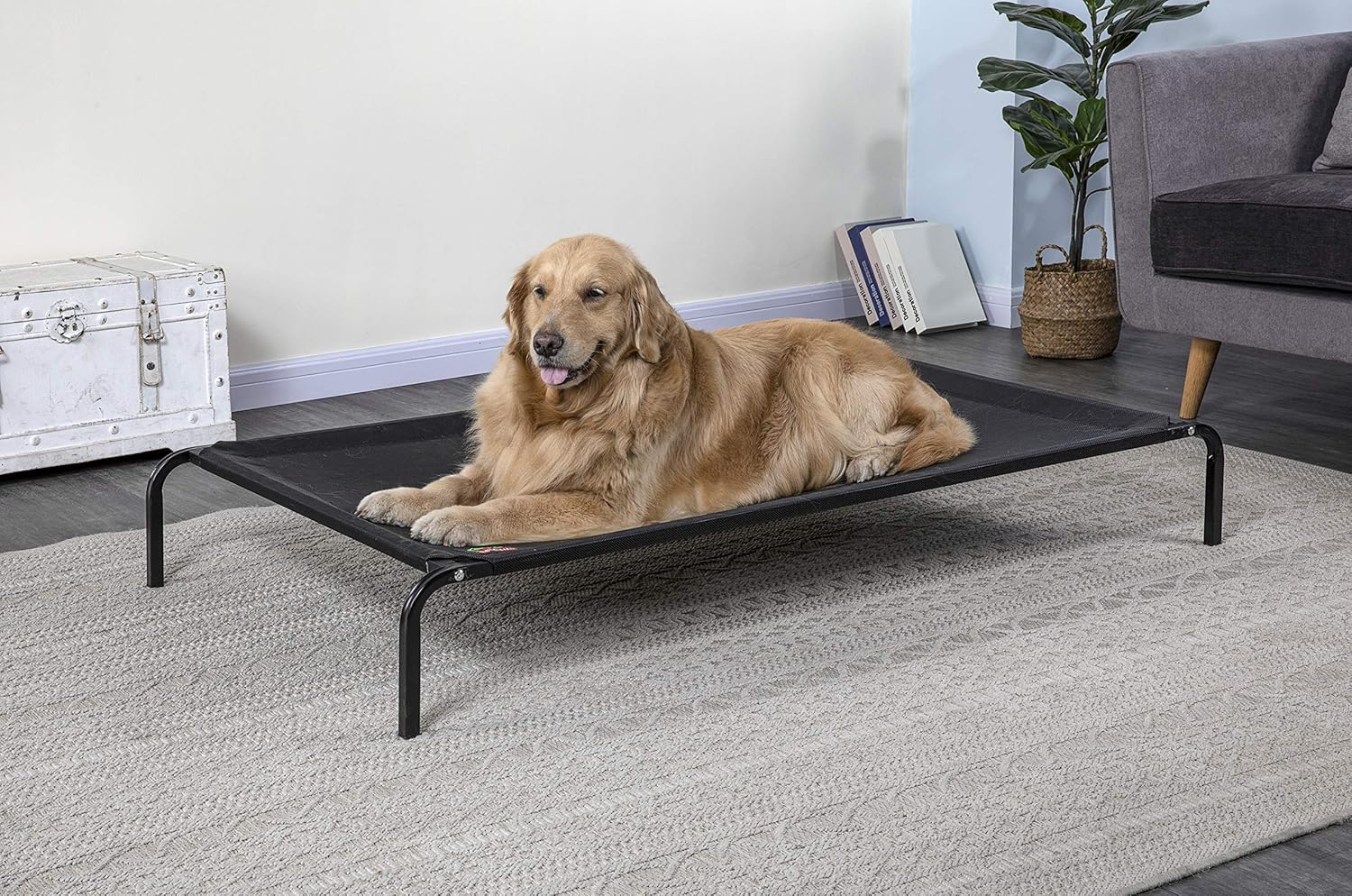 Amazon Com Go Pet Club Pc 50 Elevated Cooling Pet Cot Bed 55 X 32 X 8 Pet Supplies