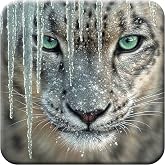 3D LiveLife Cork Coaster - from Deluxebase. Lenticular 3D Bison Coaster. Non-Slip Table Coasters Featuring Original Artwork. Ideal for Home Decor. (Blue Ice)