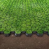 Vodaland HEXpave 30mm Ground Grids 20x HEXpave 580x505x30mm 5.25 sq m view 7