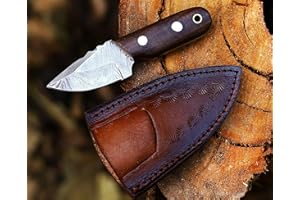 Ancilla Handmade Damascus Hunting Knife - EDC Camping Knife - Fixed Blade Mini Pocket knife - Full Tang Bushcraft and Skinning Knife with Leather Sheath - Predator Hunter Viking Knife