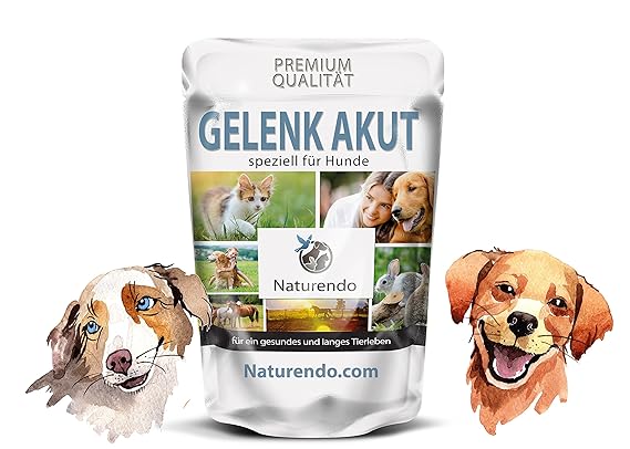 【ᐅᐅ】Glucosamin hund Test Bestseller Vergleich