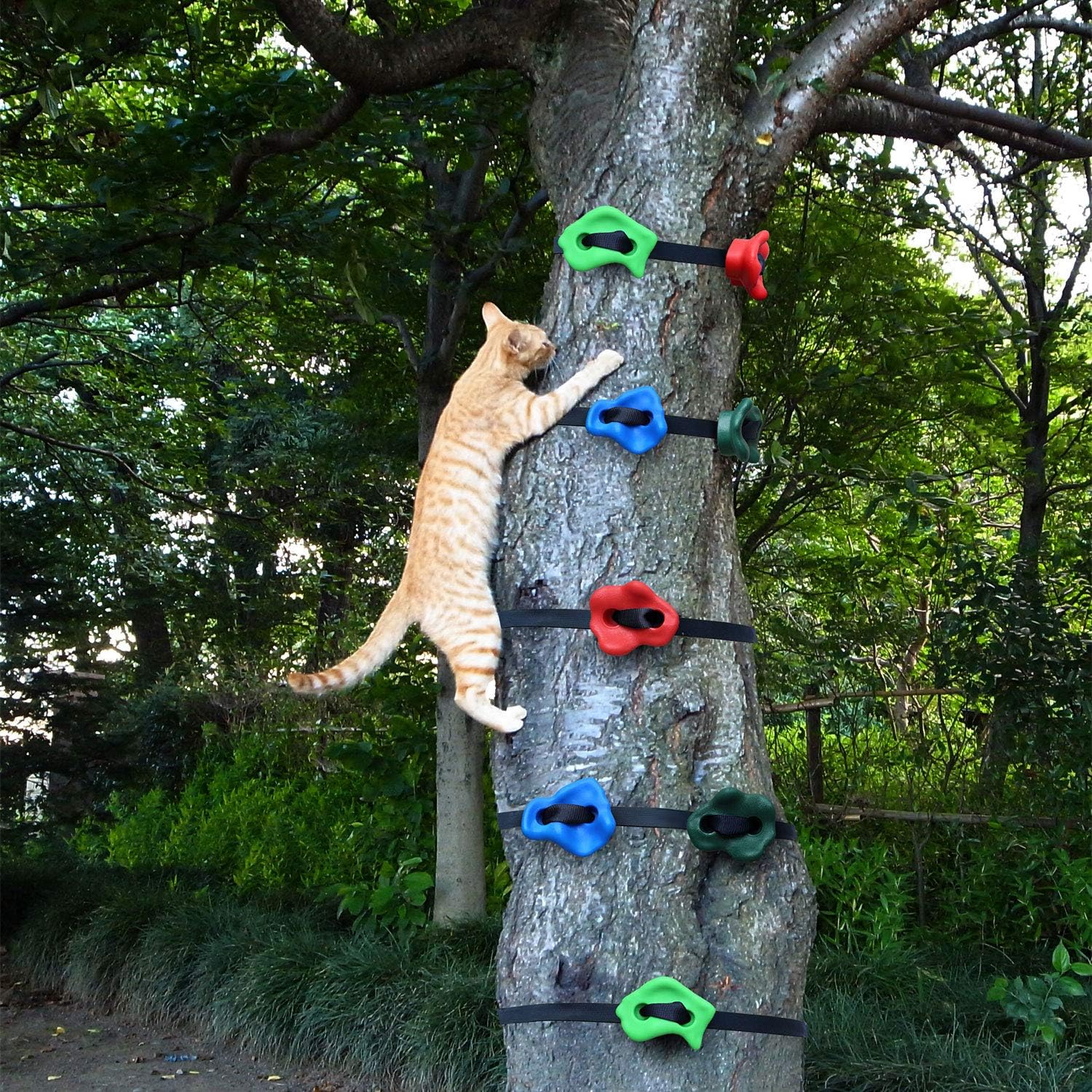 Odoland Ninja Tree Climbers, 12 Kids Rock Climbing Holds with 6 Sturdy Ratchets Straps for Outdoor Ninja Warrior Obstacle Course Training for Child and Adult: Sports & Outdoors