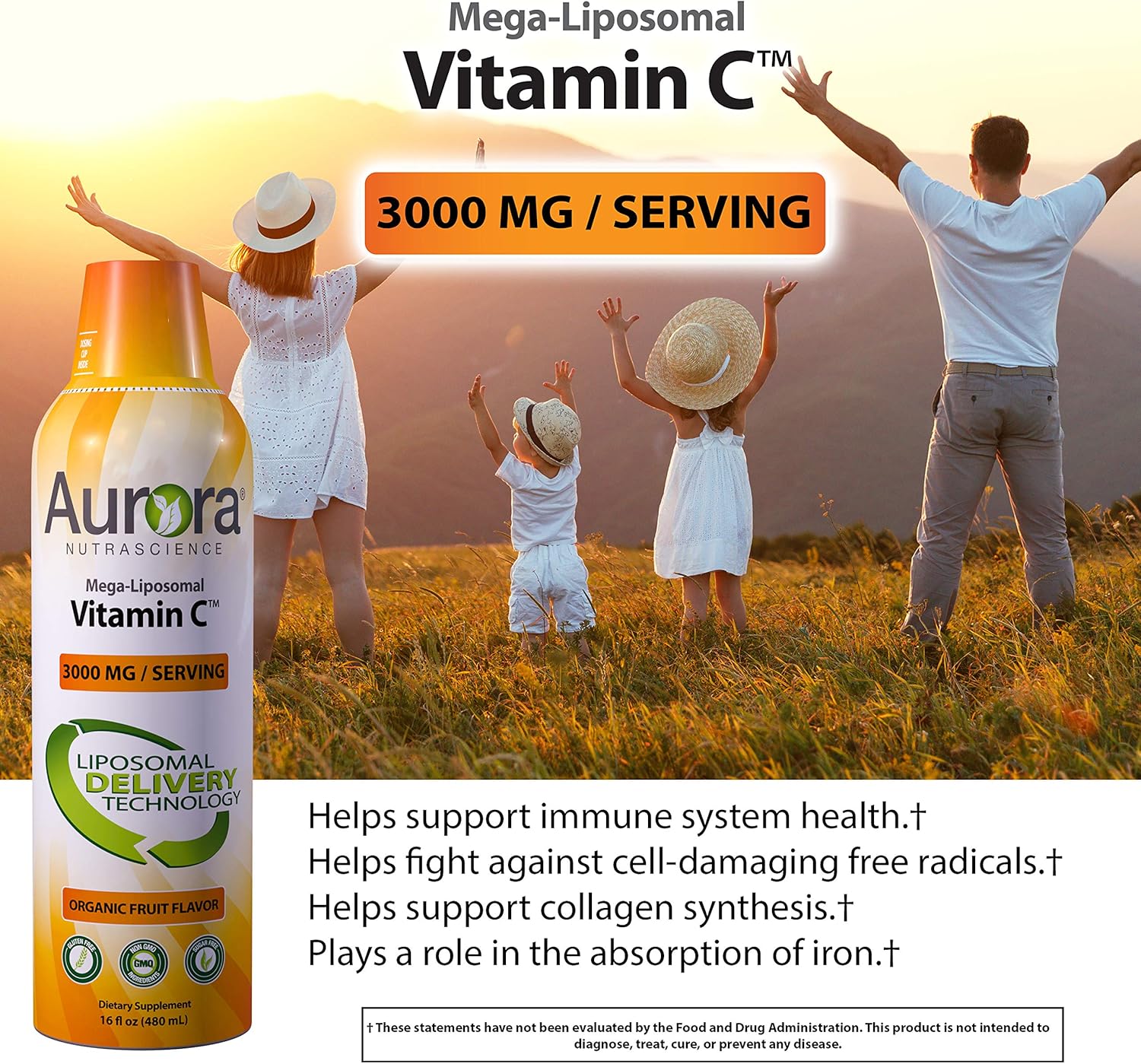 Aurora Nutrascience Mega Liposomal Vitamin C 3000 mg per Serving 16 oz