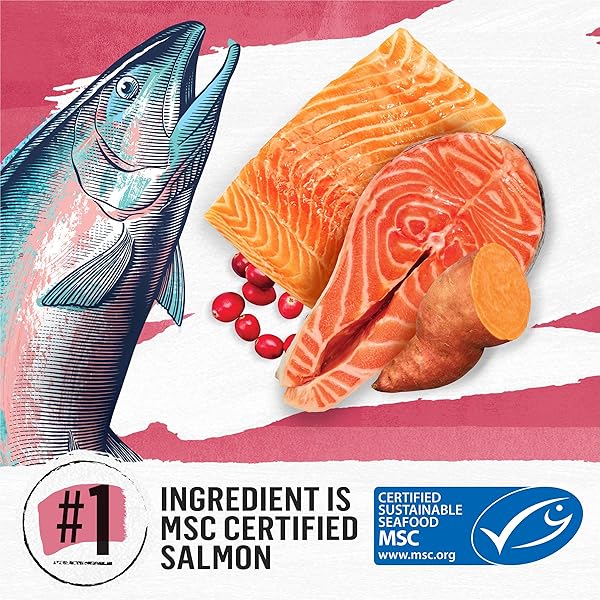 PURINA BEYOND NATURAL GRAIN FREE DRY CAT FOOD SIMPLY INDOOR SALMON, EGG AND SWEET POTATO RECIPE – 3 LB. BAG