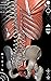 Muscular System - 3D Atlas of Anatomy