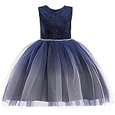 Glamulice Princess Sparkle Tulle Dress Little/Big Girls A Line Bridesmaid Wedding Birthday Party Pageant Tutu Dresses