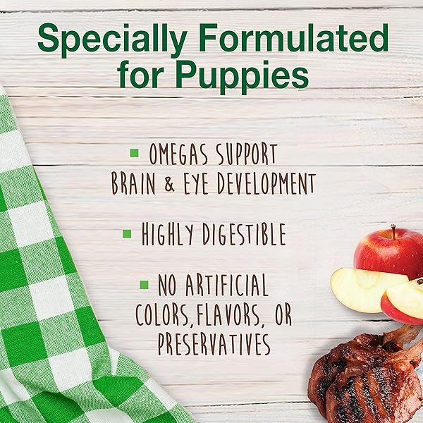 NYLABONE HEALTHY EDIBLES NATURAL PUPPY CHEWS LONG LASTING TREATS FOR PUPPIES, LAMB & APPLE FLAVOR, X-SMALL/PETITE (4 COUNT)