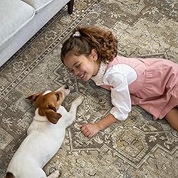 GENIMO 2'6''x14 Runner Rugs for Hallway, Machine