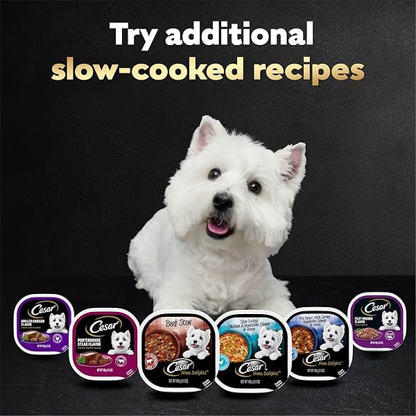 CESAR HOME DELIGHTS ADULT WET DOG FOOD, SLOW COOKED CHICKEN & VEGETABLES DINNER IN SAUCE AND BEEF STEW VARIETY PACK, 3.5 OZ. EASY PEEL DOG FOOD TRAY, 12 COUNT (PACK OF 2)