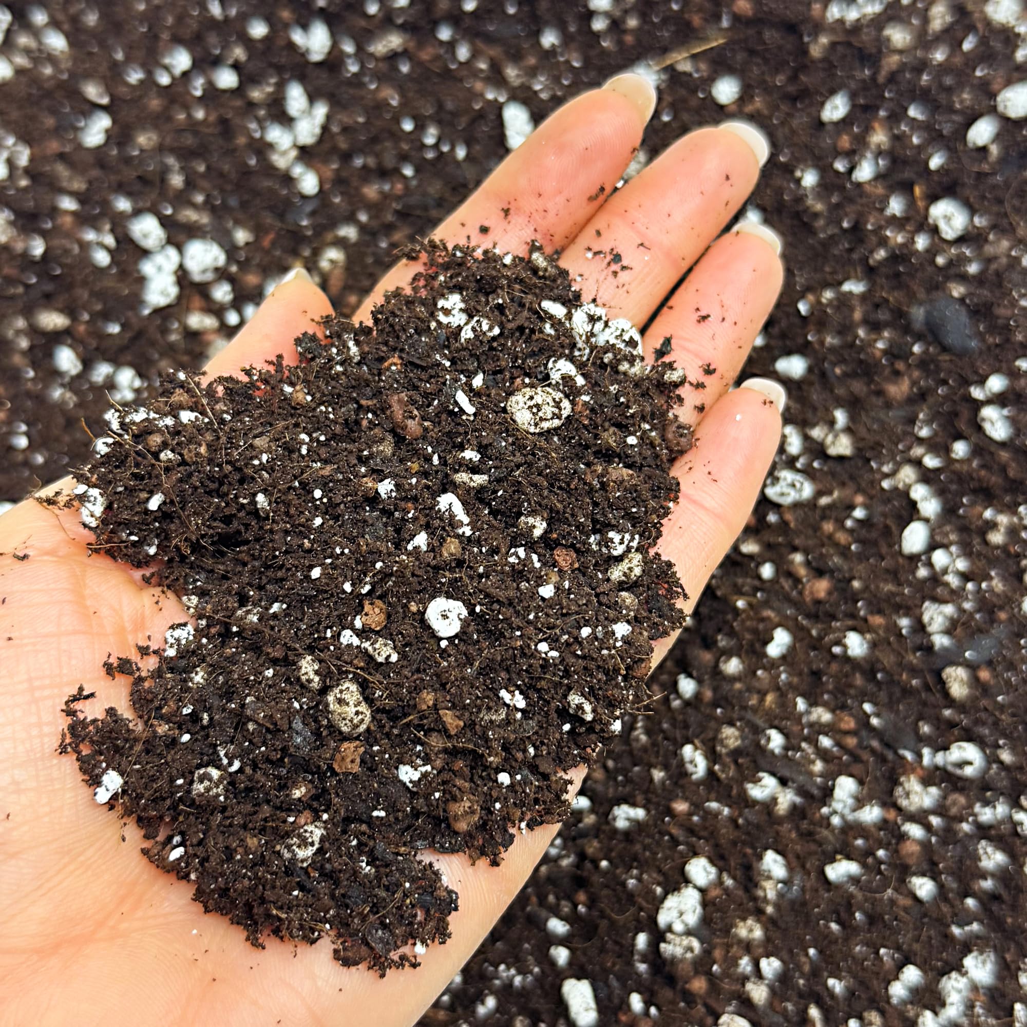 Bonsai Potting Mix with Activated Biochar, Premium Blend for Healthier Trees, Enhanced Nutrient Absorption & Aeration, Ideal for Indoor & Outdoor Bonsai Growth (1L)