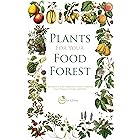PLANTS FOR YOUR FOOD FOREST: 500 PLANTS FOR TEMPERATE FOOD FORESTS AND PERMACULTURE GARDENS