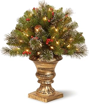 Amazon.com: National Tree - Arbusto de porche de abeto con cerdas