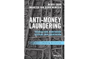 Anti-Money Laundering Transaction Monitoring Systems Implementation: Finding Anomalies