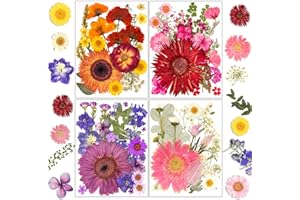 Dried Flowers for Candle Making, Winartton 100 PCS Dried Flowers for Nail Mix Color Real Pressed Flowers Gerbera for Resin Craft Jewelry Scrapbook Candle Making Soap Making Makeup Nails Decor