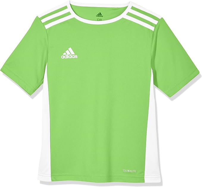 adidas entrada 18 jersey youth