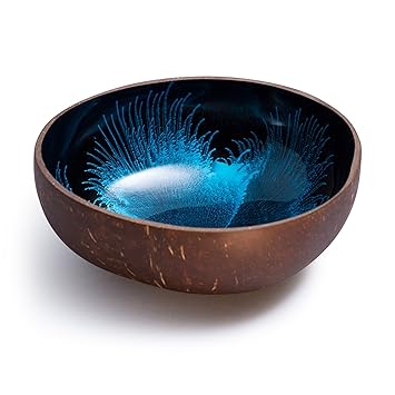 Kaloogo® Cocobowl Splash - Kokosnuss Schale/Dekoschale - türkisblau
