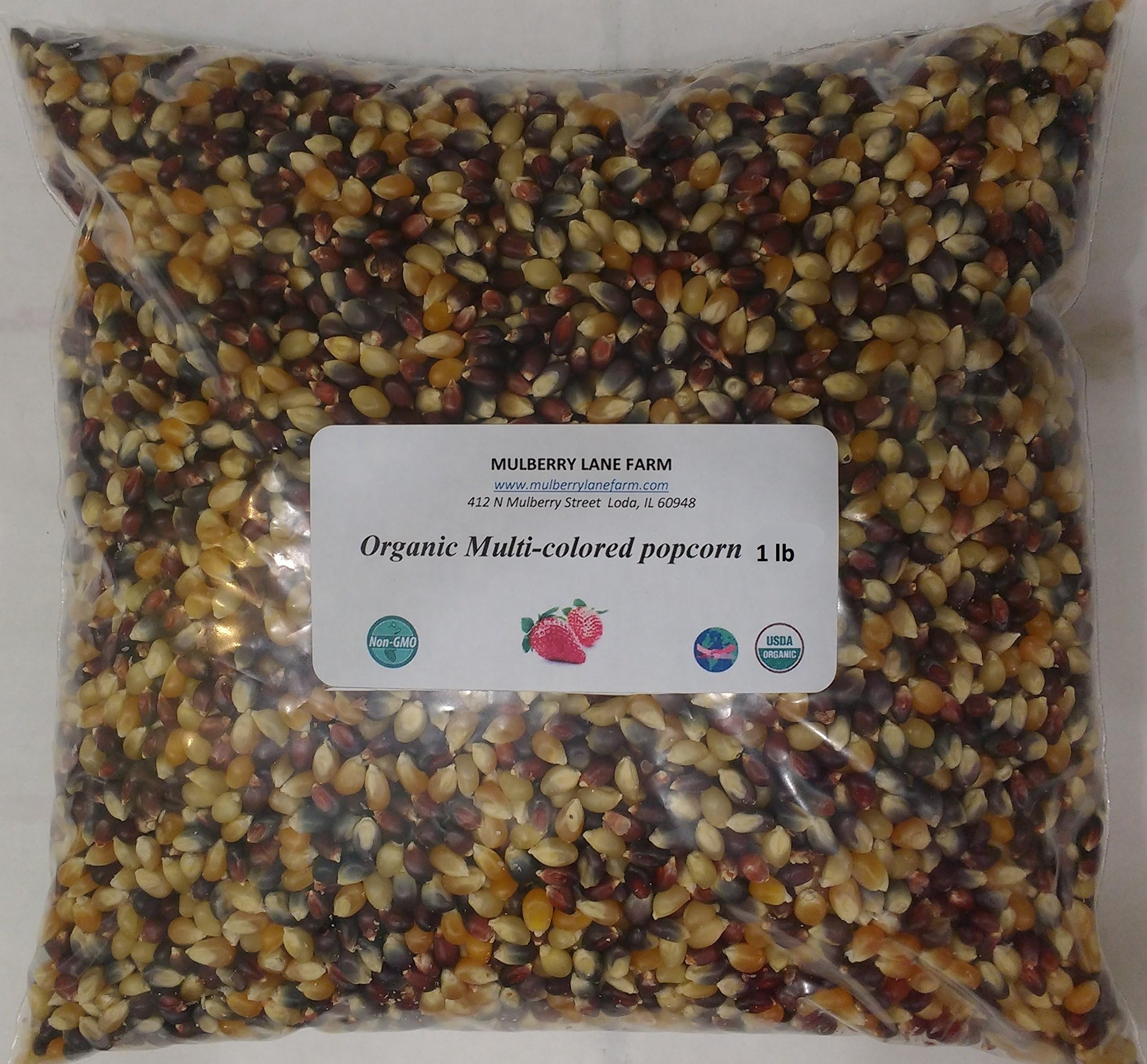 Multi-colored Popcorn Popping Corn, 1 Pound, Kernels, (Calico or Rainbow) Whole Grain, USDA Certified Organic, Non-GMO Bulk