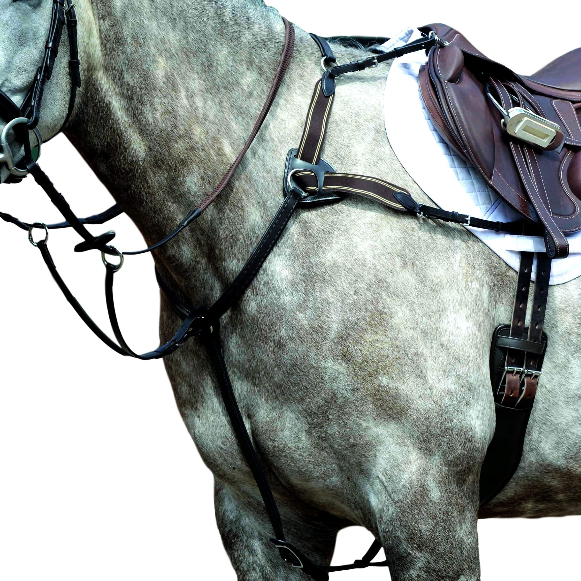 Collegiate Essential 5pt Breastplate