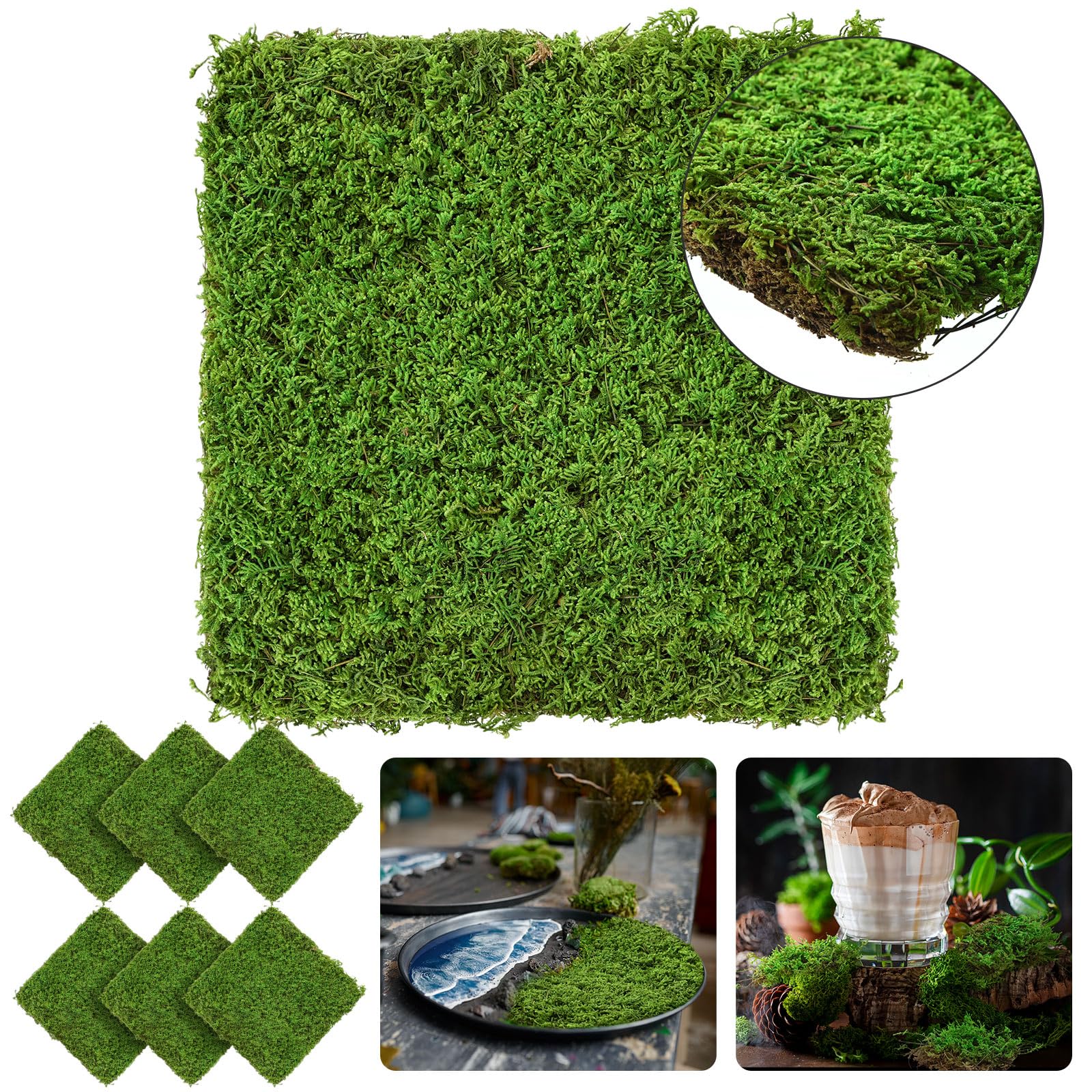 Photo 1 of Tondiamo 6 Sq. Ft. Preserved Natural Sheet Moss for Plants Dried Moss Mat Spring DIY Green Moss for Decorating Wedding Craft Table Wall Garden Diorama Art Easter Decor (Green)