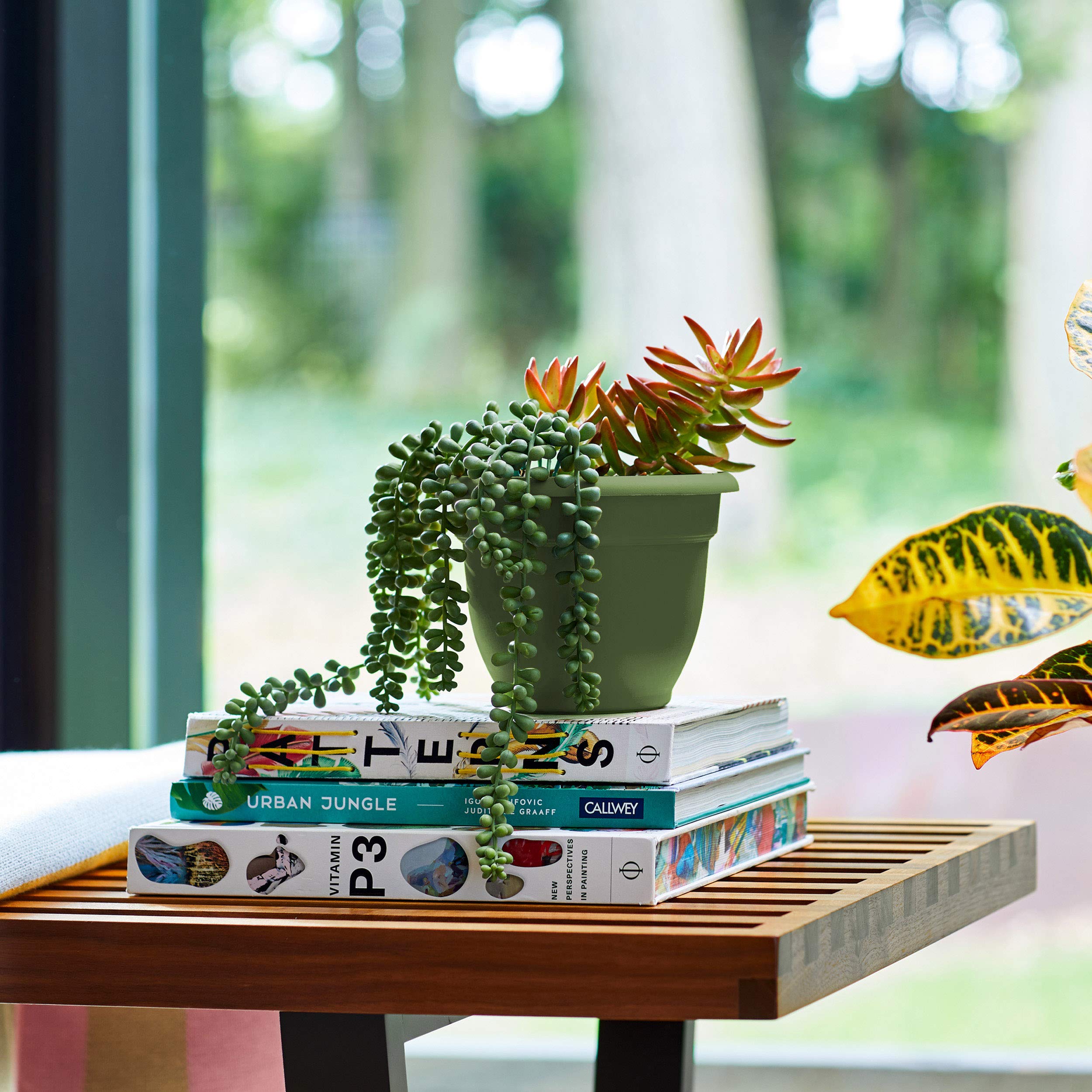 Fiskars 20-56408 8 Inch Ariana Planter with Self-Watering Grid, Thyme Green Fiskars Bloem 20-56408 Ariana Planter with Self-Watering Grid, 8