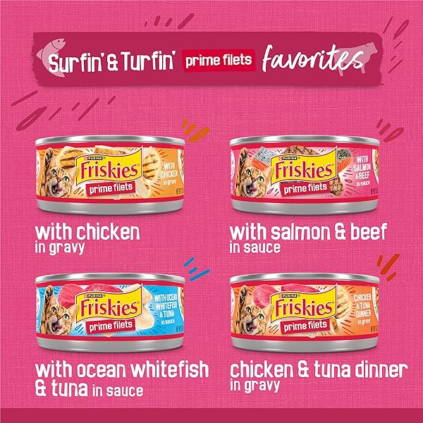 PURINA FRISKIES GRAVY WET CAT FOOD VARIETY PACK, SURFIN’ AND TURFIN’ PRIME FILETS FAVORITES – 48 CT. CAN