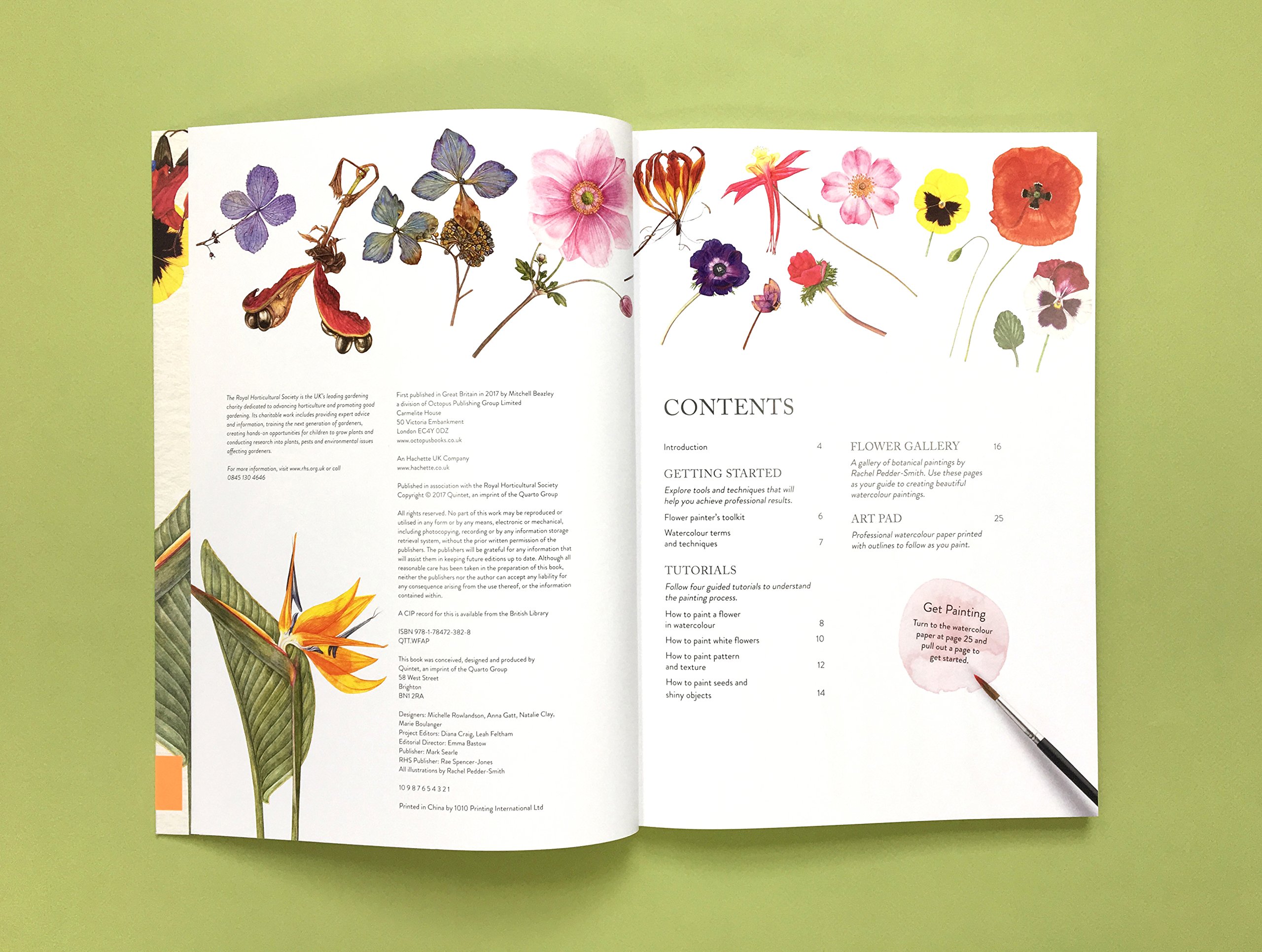 Rhs Flowers The Watercolour Art Pad: Pedder-Smith, Rachel: 9781784723828: Amazon.com: Books