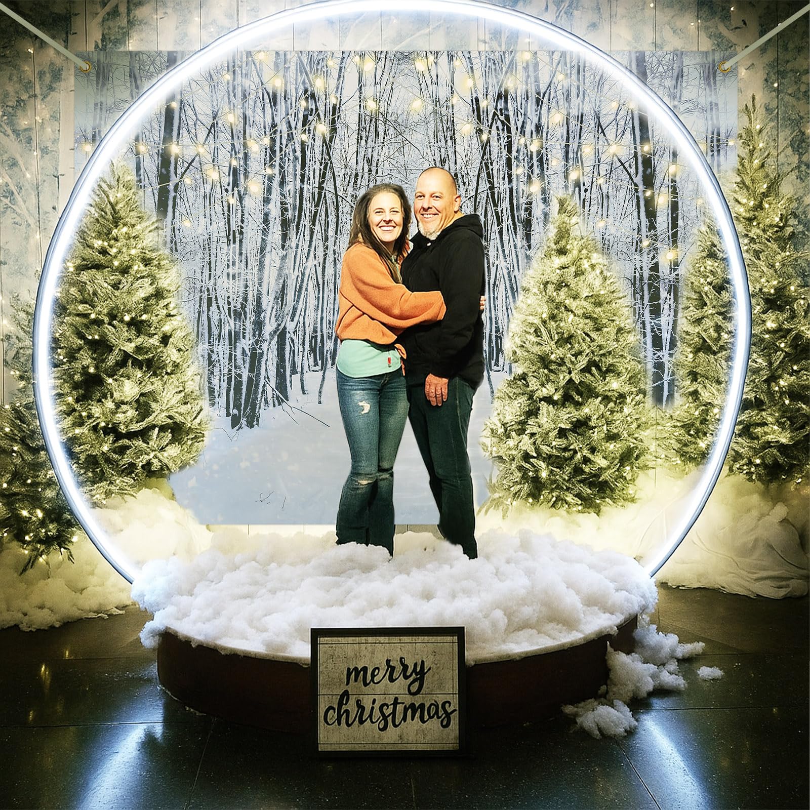 Photo 1 of (incomplete) Vercraft Giant Christmas Winter Snow Globe Photo Booth Life Size Christmas Photo Op for Family Church Business Celebration Event