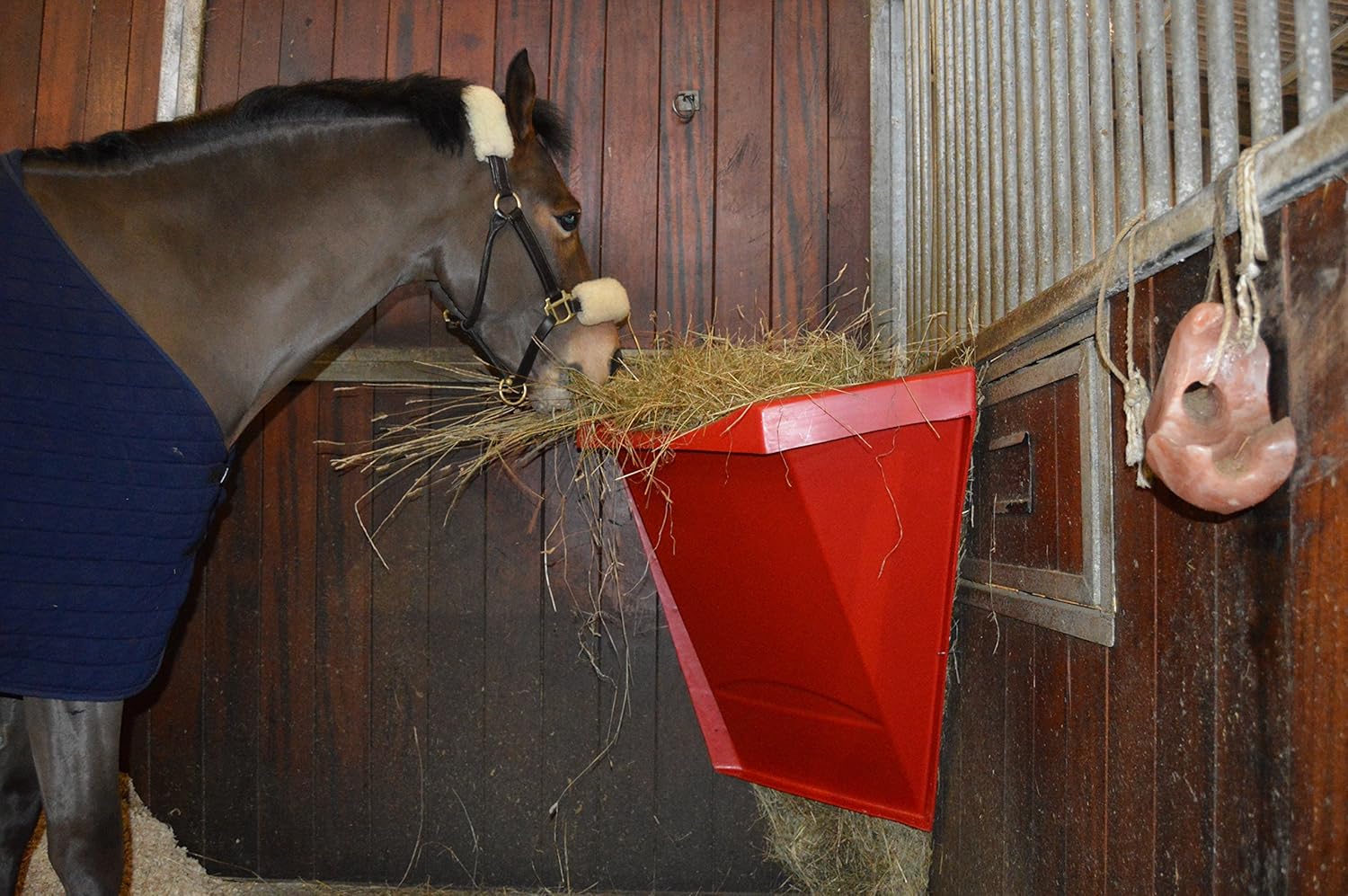 Horses Feeding Watering Supplies Equestrian Horse Or Pony Blue