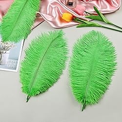 THARAHT Green Ostrich Feathers 24pcs Natural Bulk
