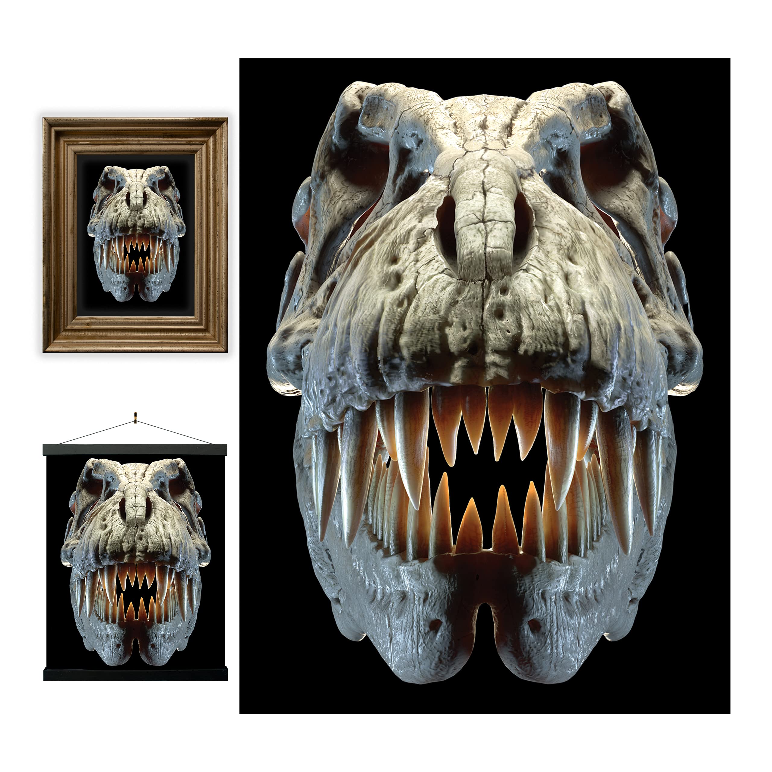 3D LiveLife Lenticular Wall Art Prints - T-Rex Skull from Deluxebase. Unframed 3D Dinosaur Poster. A perfect wall filler. Original artwork licensed from renowned artist, David Penfound