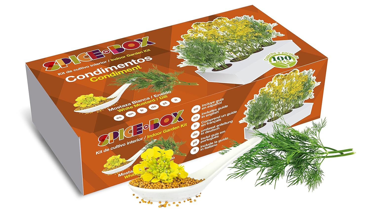 SeedBox PGSPCO Spicebox condimentos, 9x5x23 cm: Amazon.es: Jardín