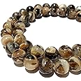 ABCGEMS Zebra-Matrix King Troca Shell Beads from Pacific Ocean (Gorgeous Thick Nacre- Exquisite Luster with Spiral Matrix) Healing Chakra Energy Natural Organic Smooth Round 12mm (Rare)